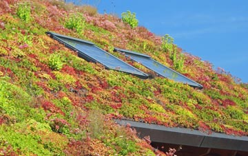 Almer living roof systems