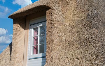 Almer thatch roof disadvantages