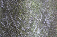 Almer fibreglass roof work